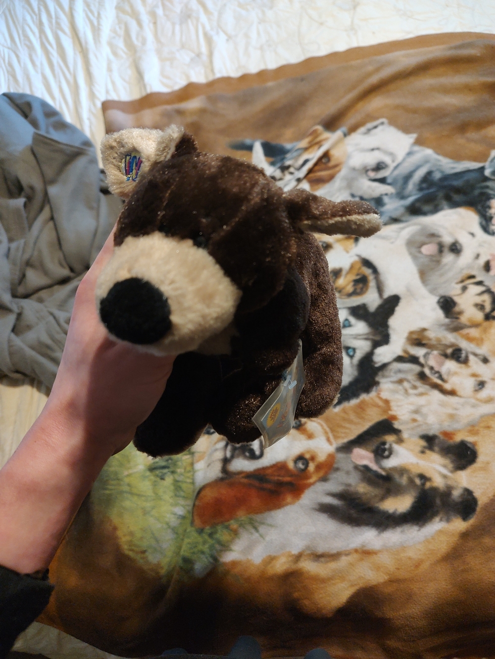 Webkinz Mocha Pup